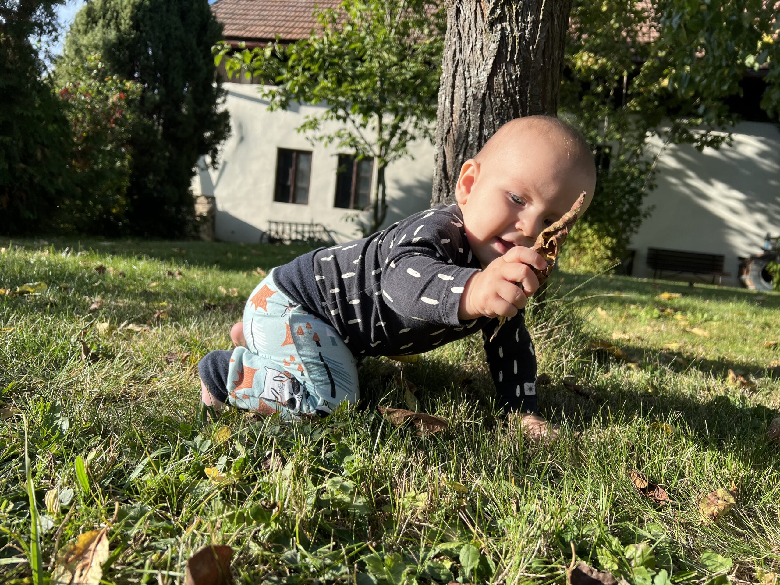 baggy pro miminka
